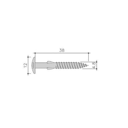 Image de Siding Schroef Torx+Vlgls 100St 4,8X38 Rvs C01 Everest Wit