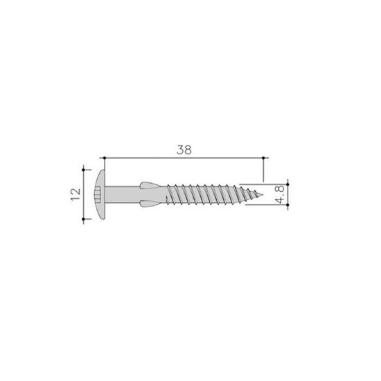 Image de Siding Schroef Torx+Vlgls 100St 4,8X38 Rvs C02 Vanile