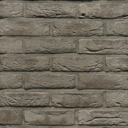 Afbeeldingen van Wienerberger Pagus Iluzo Grijs 238x90x48mm Exclusieve productie