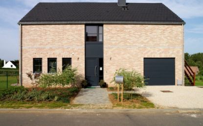 Afbeeldingen van Wienerberger Patrimonia Appelbloesem 215x102x65mm Lotkeuze