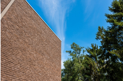 Afbeeldingen van Wienerberger Pagus Iluzo Bruin 238x90x48mm Exclusieve productie