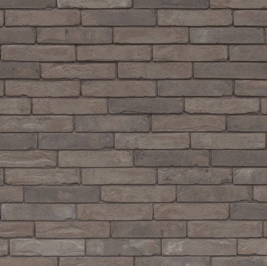 Afbeeldingen van Wienerberger Pagus Grijs WF 210x100x50